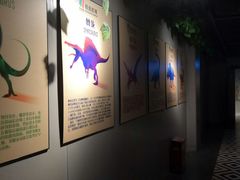 -SOE精选影城