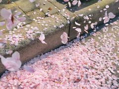 -永乐路-路侧停车场