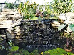 -国家植物园南园