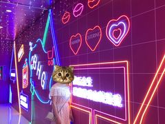 -北京华联购物中心(同成街店)