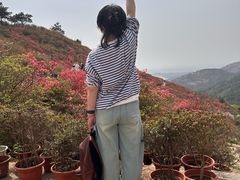 -木兰云雾山