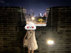 -苏州古运河游船(新市桥码头)
