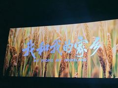 -CGV星星影城(颐堤港ScreenX店)