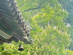 -潭柘寺景区