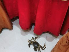 -联邦酒楼