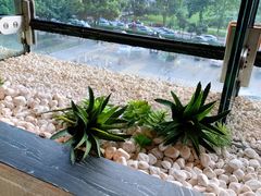 -园里火锅(仁和新城店)