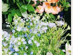 -ChaKo Flora ·茶子花艺 (市北店)