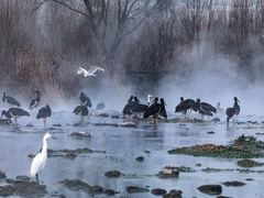 -沕沕水生态风景区
