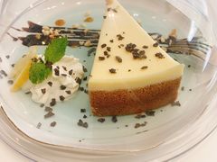 -飞行喵MR PILOT|猫舍·猫咖(静安大融城店)