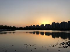-南翔镇银翔湖公园