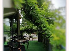 -龙猫意杯花园餐厅(芙蓉湖店)