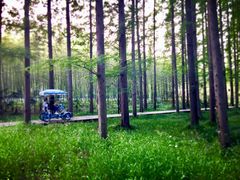 -黄海国家森林公园