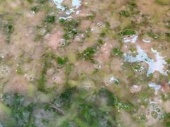 -潇湘世家(蒸湘店)