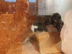 -颐玖 咖啡|甜品