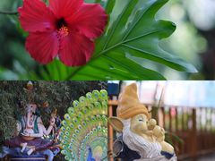 -呀路古热带植物园