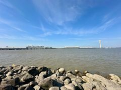 -上海吴淞炮台湾国家湿地公园