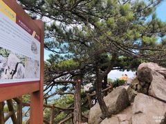 -罗田薄刀峰风景区