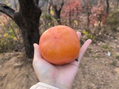 -狼牙山风景区