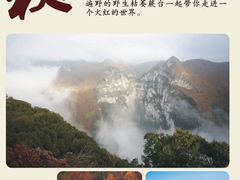 -百色大石围天坑群