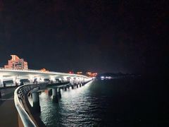 -演武大桥观景平台