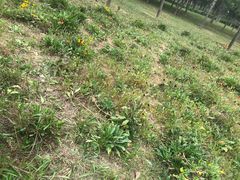 -洨河生态公园
