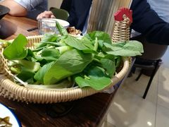 -皖北三胖地锅鸡(高速时代广场店)