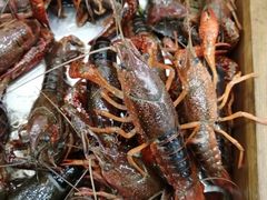 -百佳永辉超市(东城万达店)