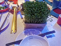 -蛙二爷美蛙火锅基地(温州总店)
