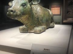 -宁夏博物馆