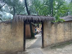 -微山湖红荷湿地景区