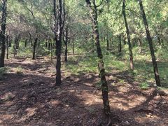 -青州市云门山风景区