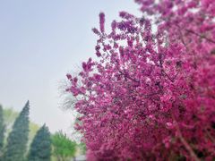 -陶然亭公园