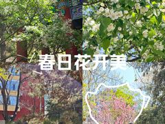 -碑林公园