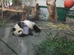 -无锡动物园·太湖欢乐园