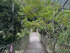 -海南热带雨林国家公园吊罗山景区