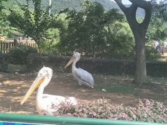 -无锡动物园·太湖欢乐园