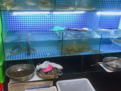 水产区-小本鸡饭店(滨江白马湖店)