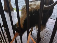 -长鹿旅游休博园