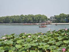 -后海公园