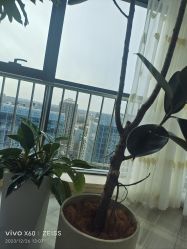-HEYAN荷妍专业脱毛连锁机构