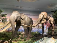 -湖南省地质博物馆