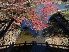 -庐山风景区花径公园