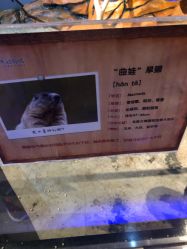 -未来动物城动物主题公园(大悦城店)