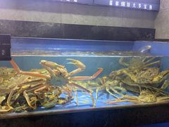 水产区-徐记海鲜(大雁塔|金都店)