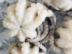 白灼章鱼-铭聚章鱼土笋冻(松柏店)