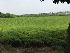 -敬亭山风景名胜区