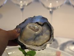 -Oyster Talks 四度蚝法餐厅