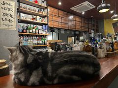 -咖法森林·咖啡  酒吧(天河店)