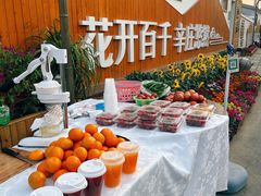 -辛庄国际文化艺术区