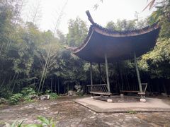 -杭州植物园